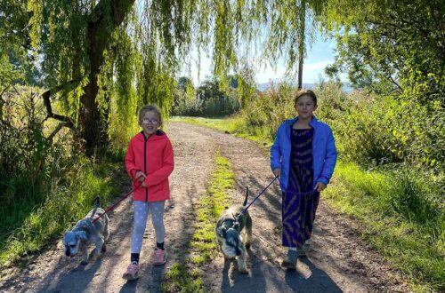 pet sitting travel with kids