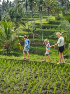 rice fields in Lombok with kids
