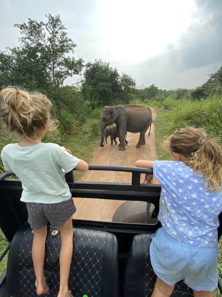 safari in Sri Lanka with the kids
